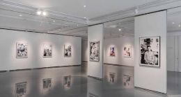 美利车金融“信心的速度”艺术展于金杜艺术中心开幕