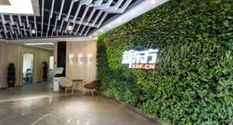 新东方财报背后：增收不增利之下，“下沉”“上线”能有坦途？