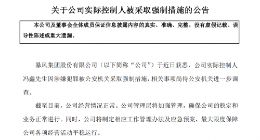 暴风集团实控人冯鑫被抓 昔日妖股缘何频失控？