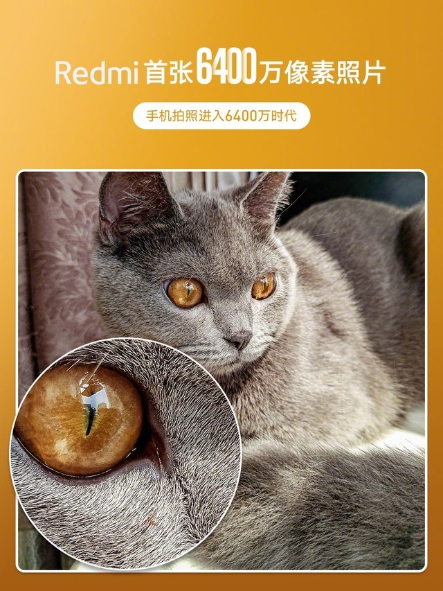 Redmi公布首张6400万像素样片 细节纤毫毕现 