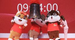 “大树底下”的阿里电商 淘品牌的“配角变名角”