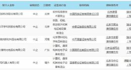 科创板｜龙软科技国科环宇等4公司中止审核