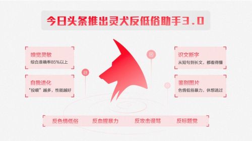 QQ图片20190730171806