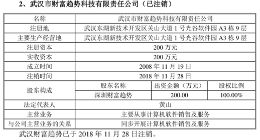 IPO屡遭临时叫停 通达信闯关科创板成败几何？