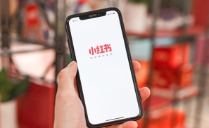 小红书被下架，明星应用的“成人礼”