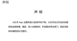 小红书回应“下架”：启动整改 自查自纠