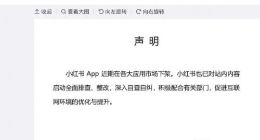小红书发布声明 称已对站内内容启动全面排查、整改