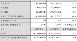 天齐锂业2019上半年业绩下滑明显 保荐机构核查意见出炉