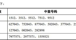 科创板｜微芯生物公布网上中签结果 中签号码共25600个