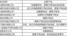 中国电池行业百强名单：动力电池市场需求巨大 进入快速洗牌阶段