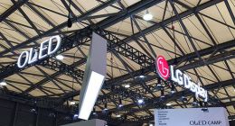 国内首次！LGD广州工厂将提供半成品形式OLED面板