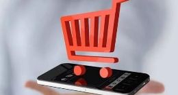 会员制的冰与火，斑马会员重启传送门