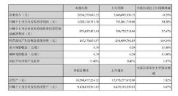 完美世界上半年净利润10.2亿元 同比增长30.5%