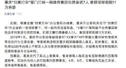 重庆“扫黄打非”部门打掉一网络传黄团伙跨省抓7人 查获淫秽视频11万余部