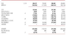 有赞2019年上半年亏损3.61亿港元 同比扩大78.2%
