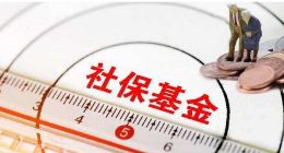 社保基金新进持有视觉中国 QFII增持启明星辰