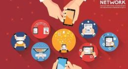 社交电商风潮起，中小卖家何处去