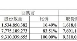 苏宁易购完成8400万股股票回购计划 斥资近10亿元