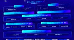 百分点十年 海外和国内业务已齐头并进