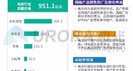 2019年APP流量价值评估报告：电商行业手淘、拼多多位居前两位