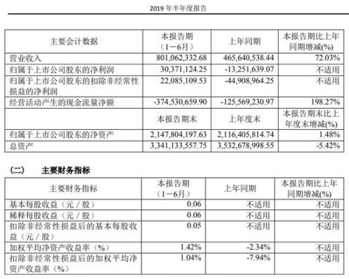 中微公司财务数据