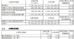 LED芯片竞争激烈 三安光电净利同比下滑超52%