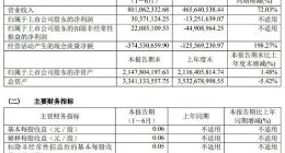 科创板｜中微公司上半年实现净利润3037万元 同比扭亏为盈