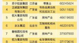 2019中国民营企业500强发布：华为海航苏宁位列前三