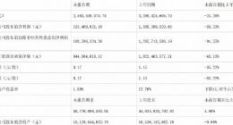 天齐锂业上半年净利润1.93亿元 同比减少85.23%