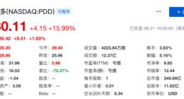 拼多多奔向五环内 下半年继续加大补贴换取用户信任度