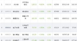 科创板今日23只个股下跌 沃尔德跌幅接近10%