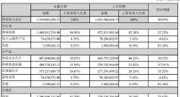 紫光国微智能安全芯片业务上半年营收6亿元 同比增长30.3%