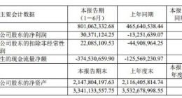 中微公司上半年业绩扭亏为盈 今日拿下科创板涨幅第一