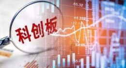 第二批科创板转融通券商正在途中 险资提前调仓