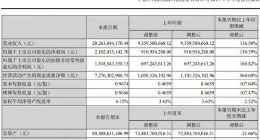 宁德时代上半年实现营收202.6亿元 同比增长116.5%