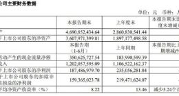 芯片｜兆易创新上半年实现净利润1.87亿元 同比减少20.24%