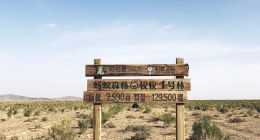 “低碳生活研究报告”出炉，支付宝蚂蚁森林3年碳减排792万吨