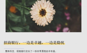 招商银行，一边是卓越，一边是隐忧