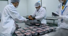 互联网买菜破局市场 苏宁菜场818期间售出猪肉过8000斤