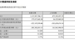 半导体显示｜维信诺上半年实现营收11亿元 同比增长134.67%