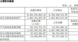 芯片｜士兰微上半年实现净利润5781万元 同比减少39.34%