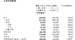 宝宝树发布半年报：2019年上半年营收2.4亿元