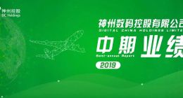 营收利润双升，神州控股2019上半年业绩企稳向好