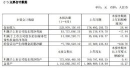 江化微今年上半年营收同比增长26% 净利润同比下降18%