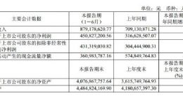 科创板｜澜起科技今年上半年营收8.79亿元 同比增长24%
