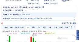 手机业务占比总营收95%以上 虹软科技破局待解