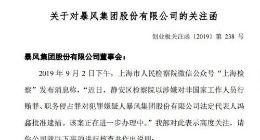 暴风集团收关注函：需说明冯鑫被批捕对公司影响
