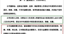 高管发难半年报 奥维通信内部矛盾或愈演愈烈