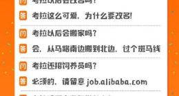 阿里收购考拉后员工将何去何从？网易：不会减员