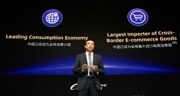 天猫国际首次亮相阿里巴巴全球投资者大会，已成中国最大进口平台